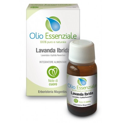 LAVANDA IBRIDA OE 10ML