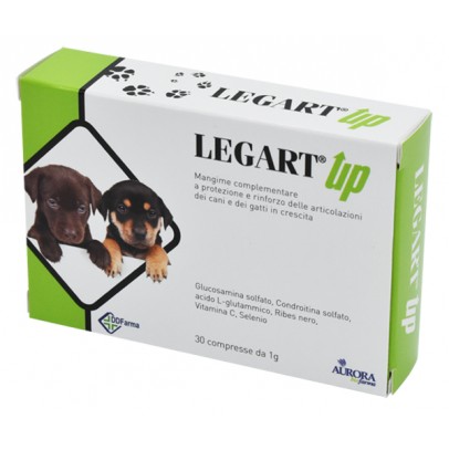 LEGART UP 60CPR