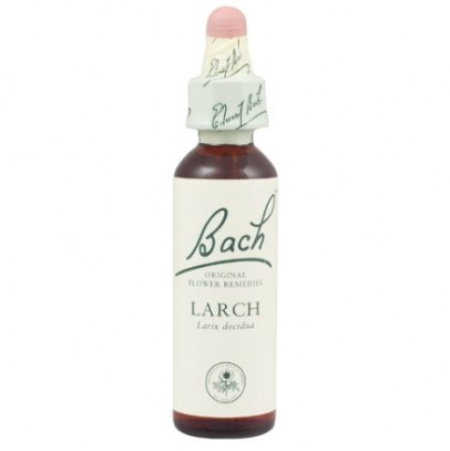 LARCH BACH ORIG 10ML